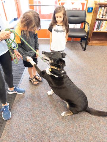 A picture of Buzz the dog raising his paw to a child.