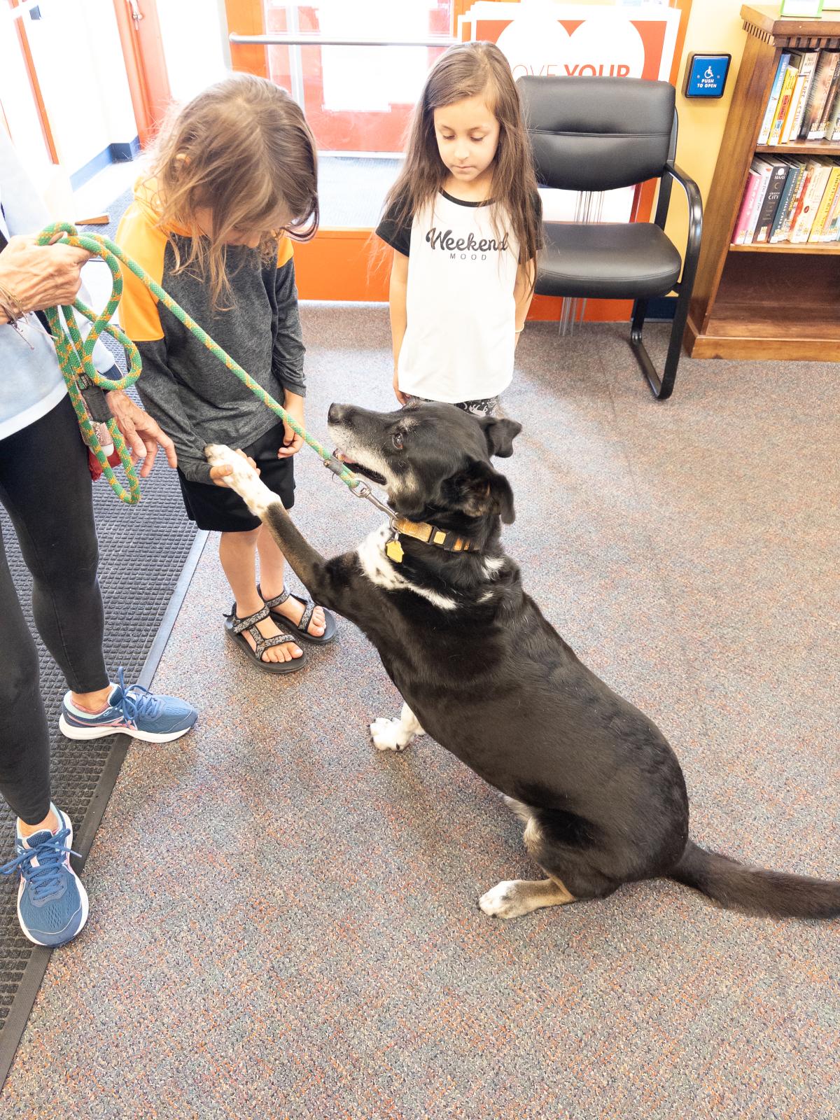 A picture of Buzz the dog raising his paw to a child.